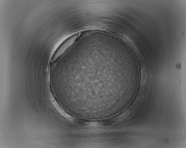 X0000115450796200911181546