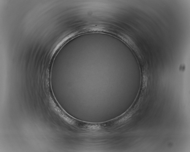 X0000115450798200911181546