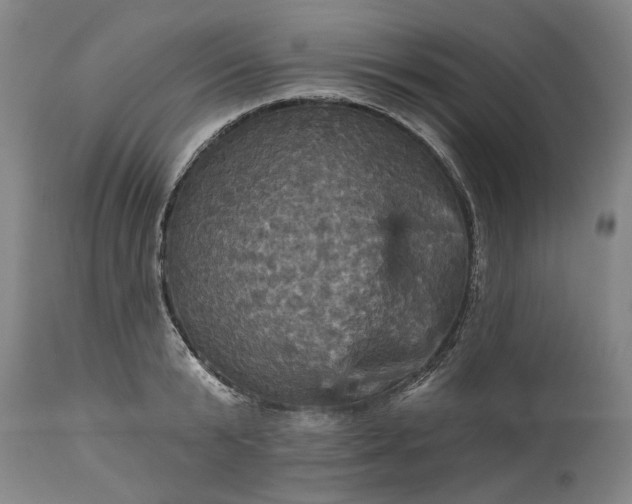 X0000115450799200911181546