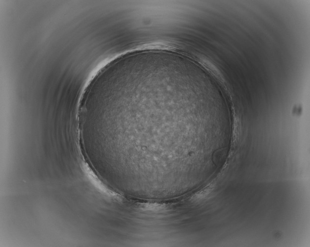 X0000115450800200911181546