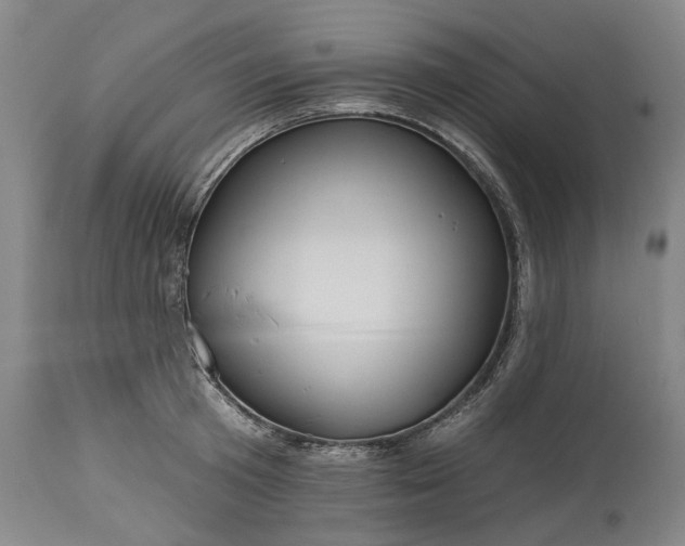 X0000115450801200911181546