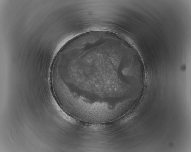 X0000115450803200911181546