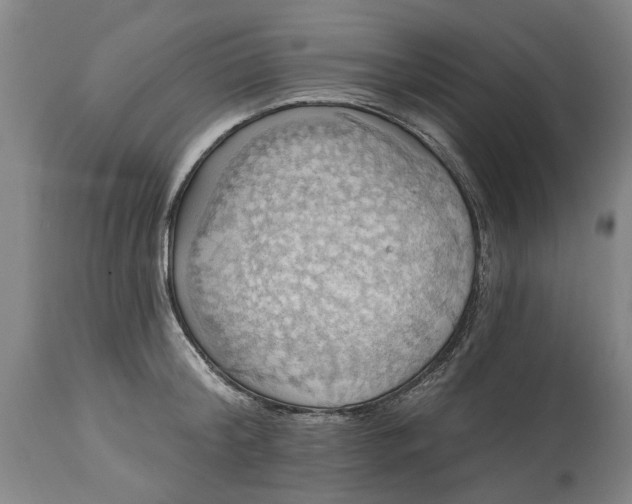 X0000115450804200911181546