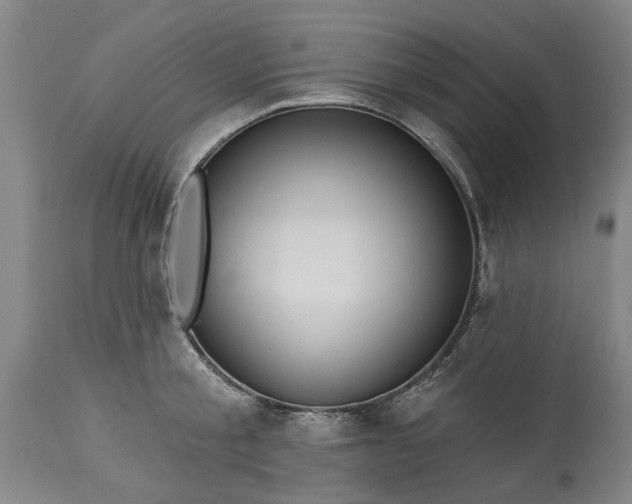 X0000115450805200911181546