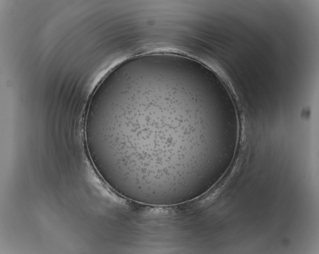 X0000115450806200911181546