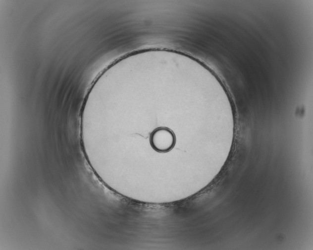 X0000115450807200911181546