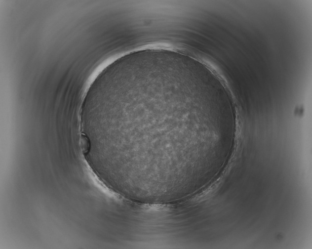 X0000115450808200911181546