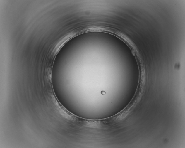 X0000115450809200911181546