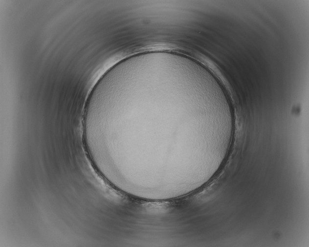 X0000115450810200911181546