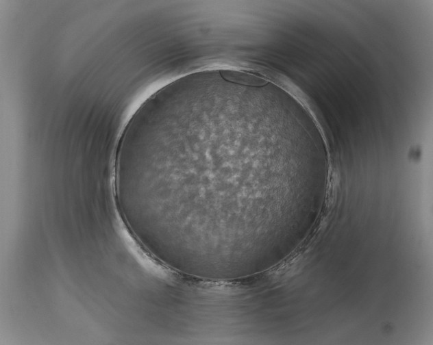 X0000115450811200911181546