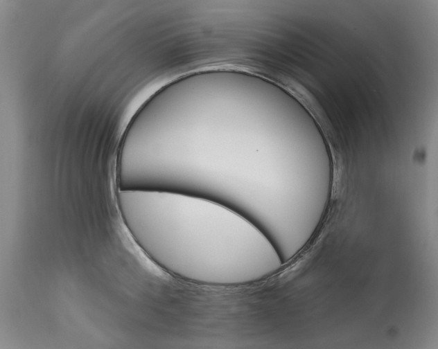 X0000115450812200911181546