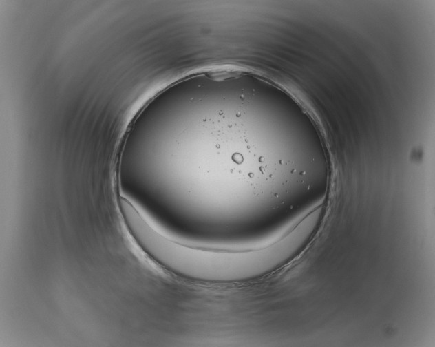 X0000115450813200911181546