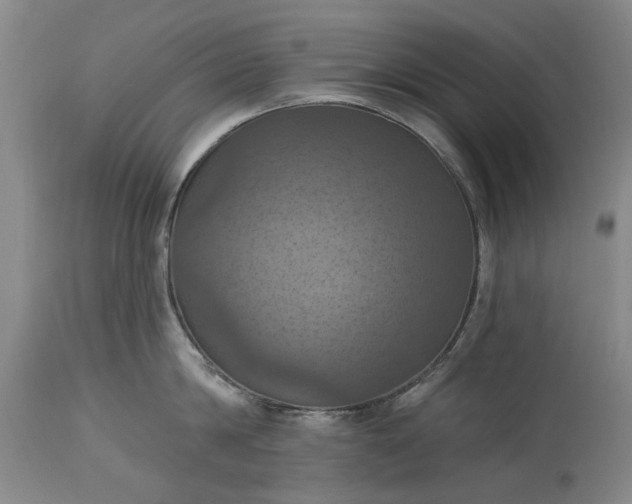 X0000115450814200911181546