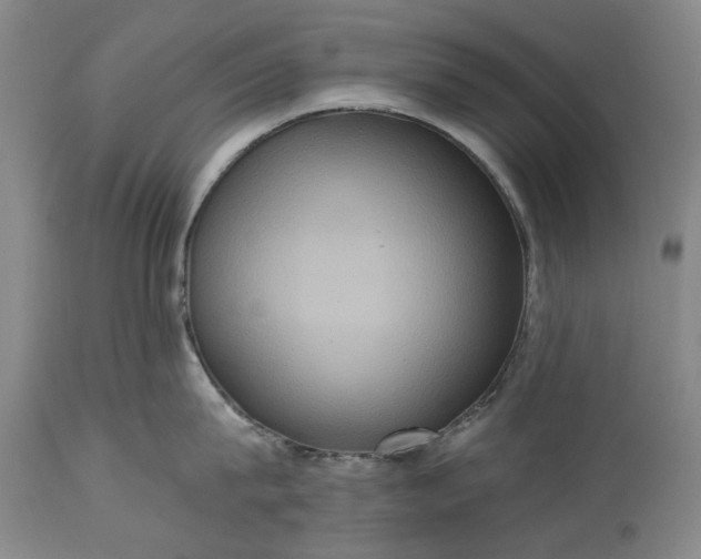 X0000115450815200911181546