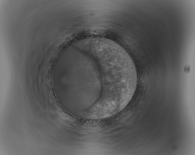 X0000115450817200911181545