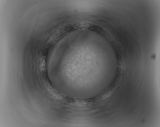 X0000115450818200911181545