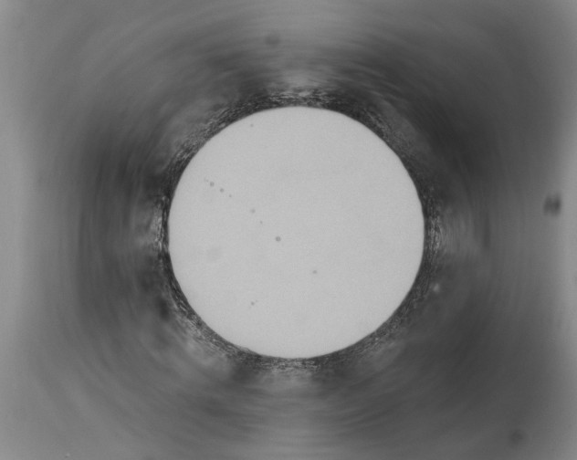 X0000115450820200911181545