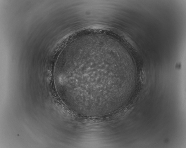 X0000115450821200911181545