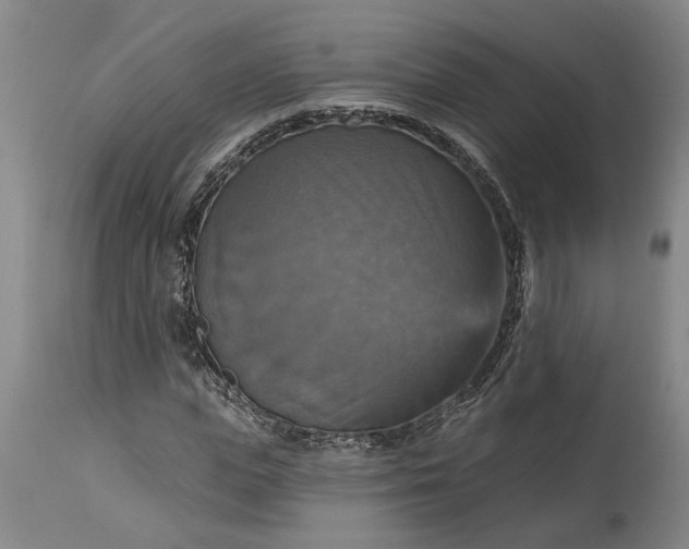 X0000115450823200911181545