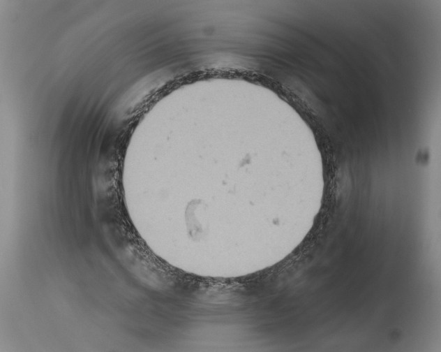 X0000115450824200911181545