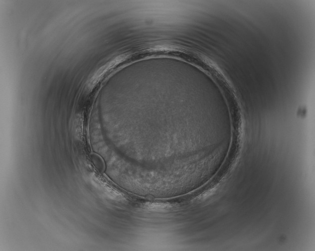 X0000115450825200911181545