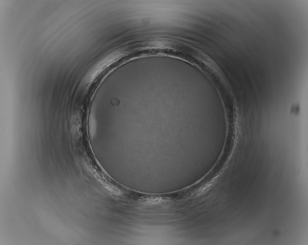 X0000115450826200911181545