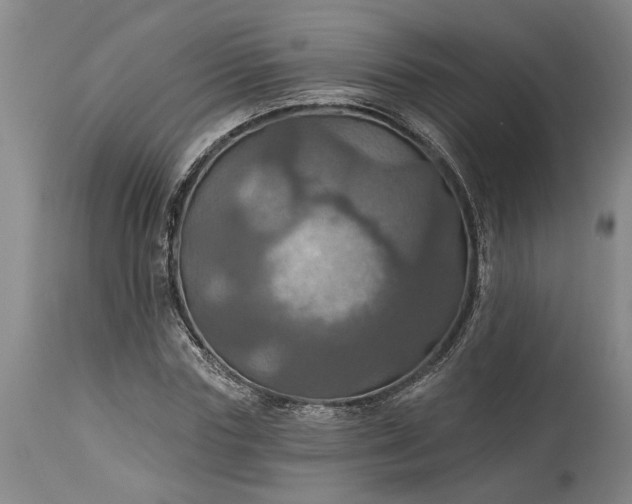 X0000115450827200911181545