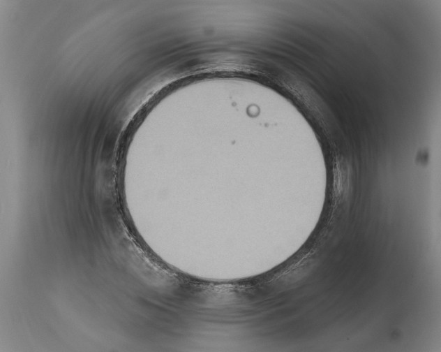 X0000115450828200911181545