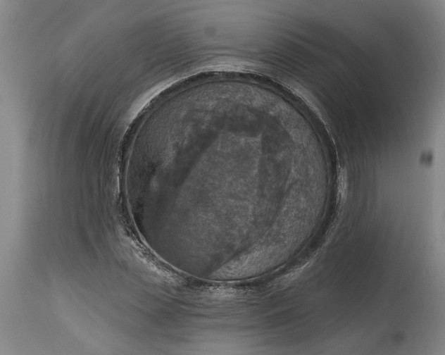 X0000115450829200911181545