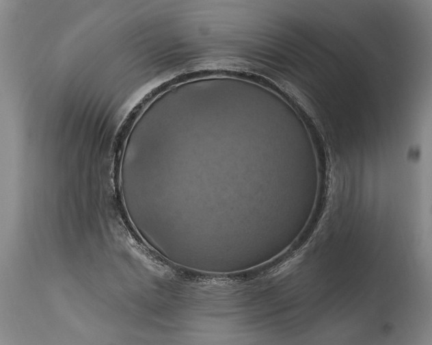 X0000115450830200911181545