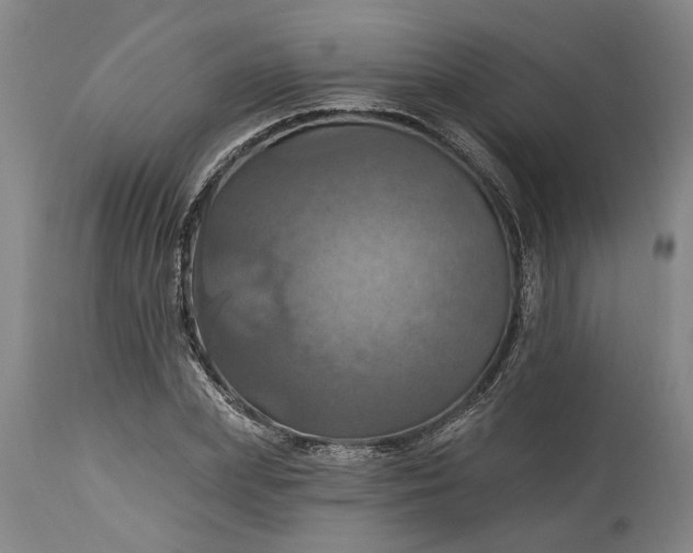 X0000115450831200911181545