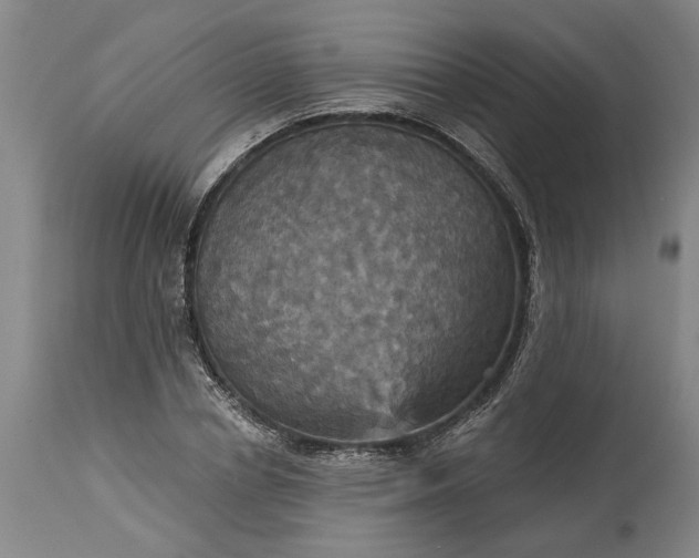 X0000115450834200911181545