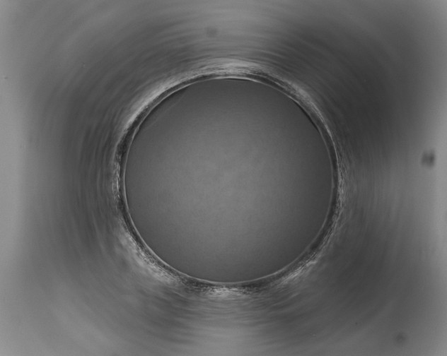 X0000115450835200911181545