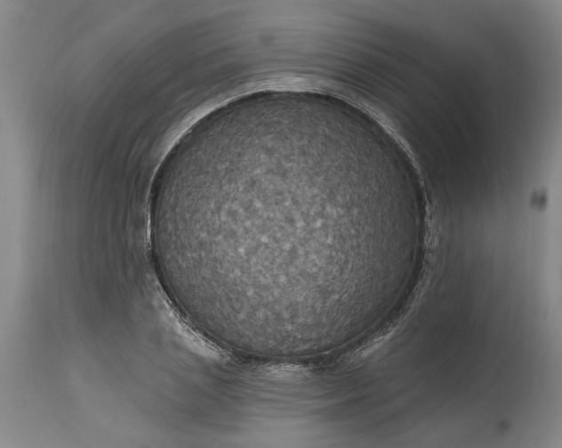 X0000115450837200911181545