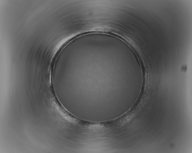 X0000115450838200911181545