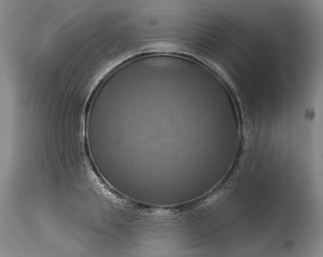 X0000115450839200911181545