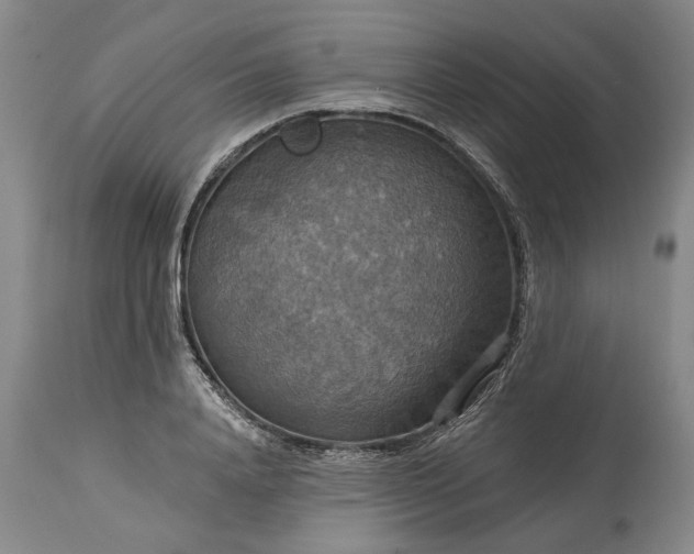 X0000115450840200911181545