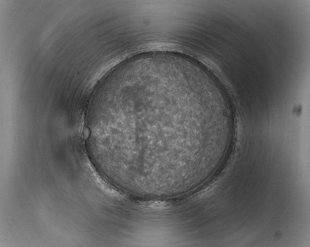 X0000115450841200911181545