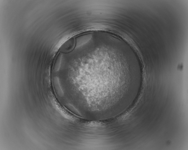 X0000115450842200911181545