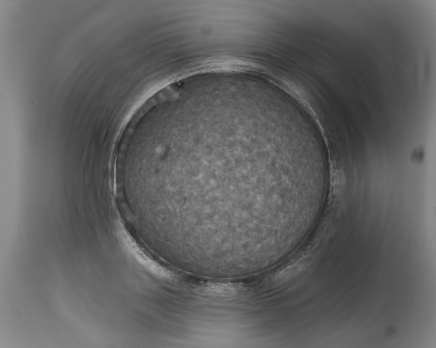 X0000115450843200911181545