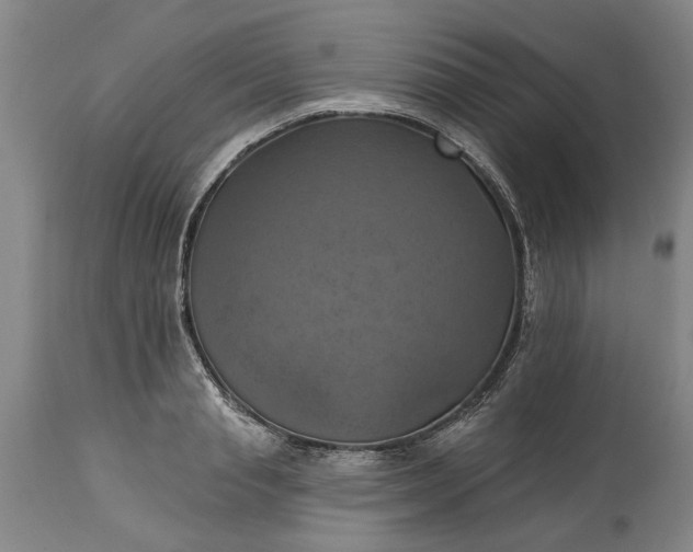 X0000115450845200911181545