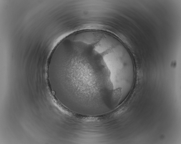 X0000115450846200911181545