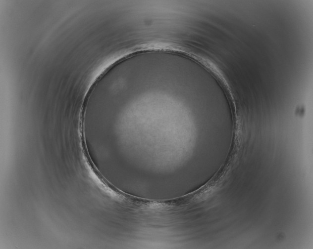 X0000115450847200911181545