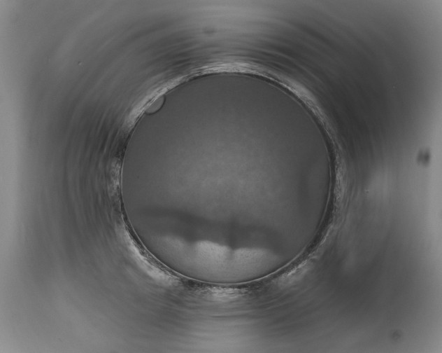 X0000115450849200911181545