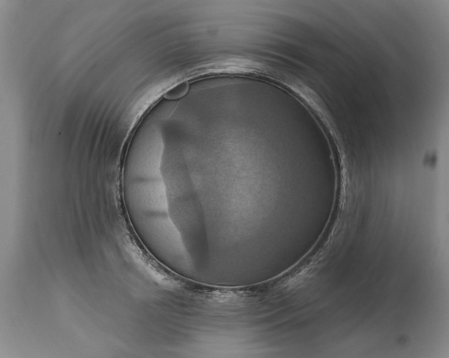 X0000115450850200911181545