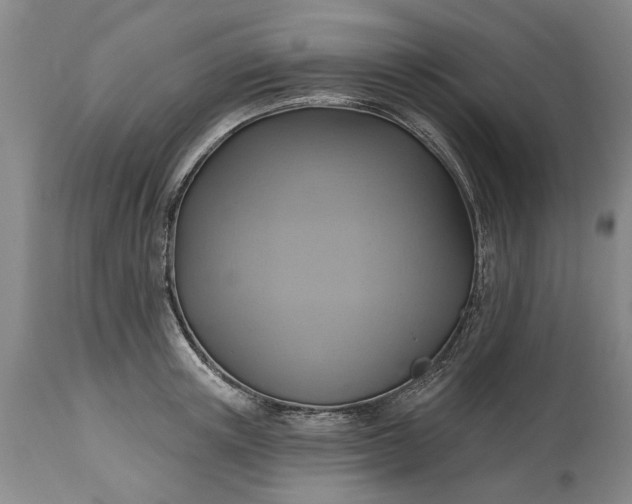 X0000115450851200911181545