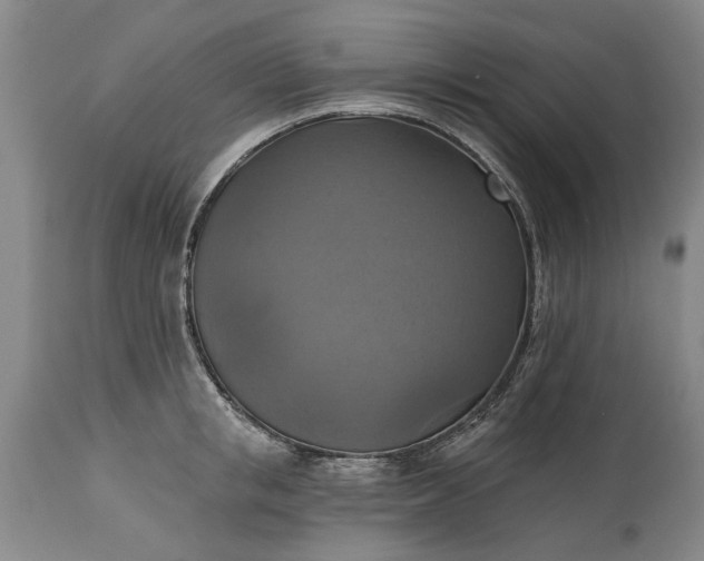 X0000115450853200911181545