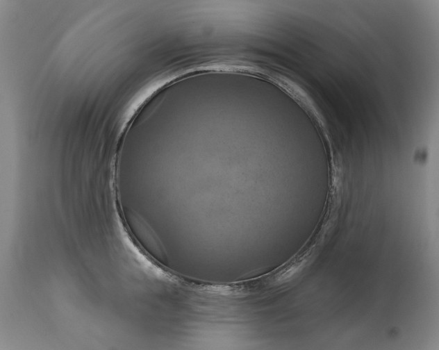 X0000115450855200911181545