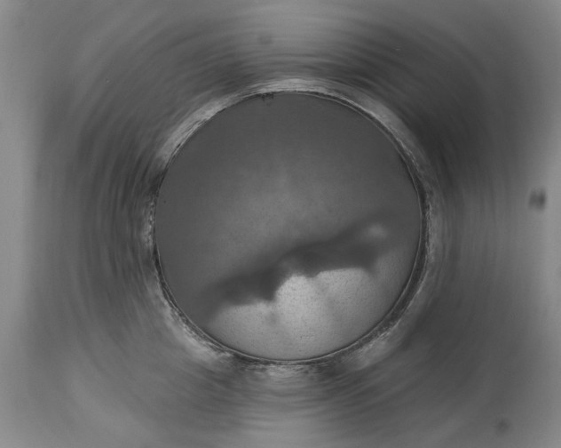 X0000115450857200911181545