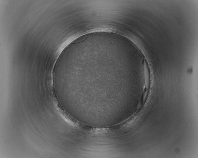 X0000115450858200911181545